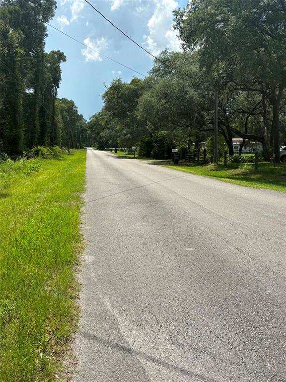A paved road stretches through a rural area lined with green grass and mature trees — 0000 NW 166TH STREET, TRENTON, FL