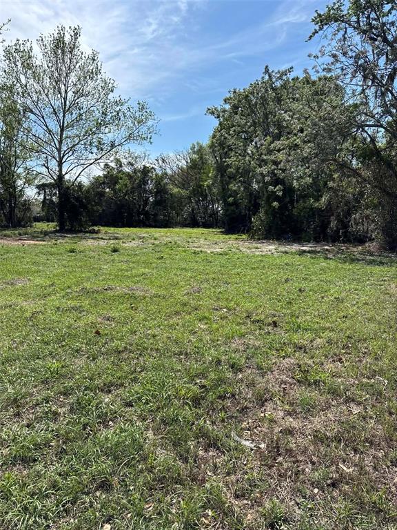 A grassy, open lot is surrounded by mature trees under a bright blue sky — 15511 STATE ROAD 19, GROVELAND, FL