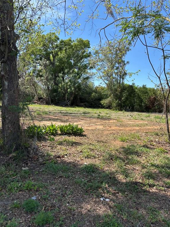 A cleared, grassy lot with scattered trees and patches of exposed dirt under a blue sky — 15511 STATE ROAD 19, GROVELAND, FL