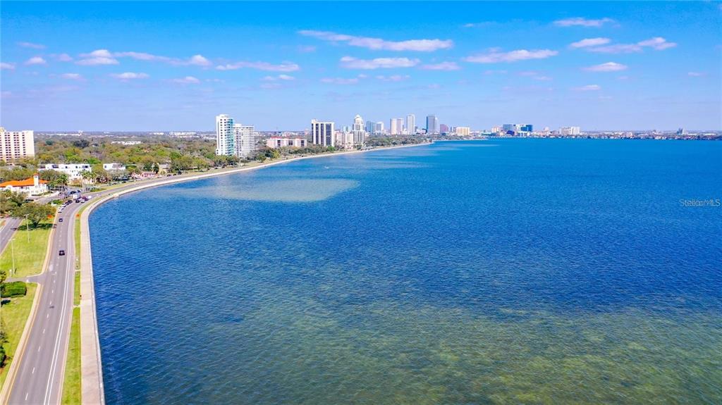 3301 BAYSHORE BOULEVARD UNIT 1905C