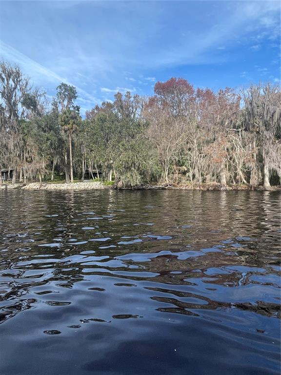 233 STELLA ROAD, GEORGETOWN, FL — photo 2 of 6