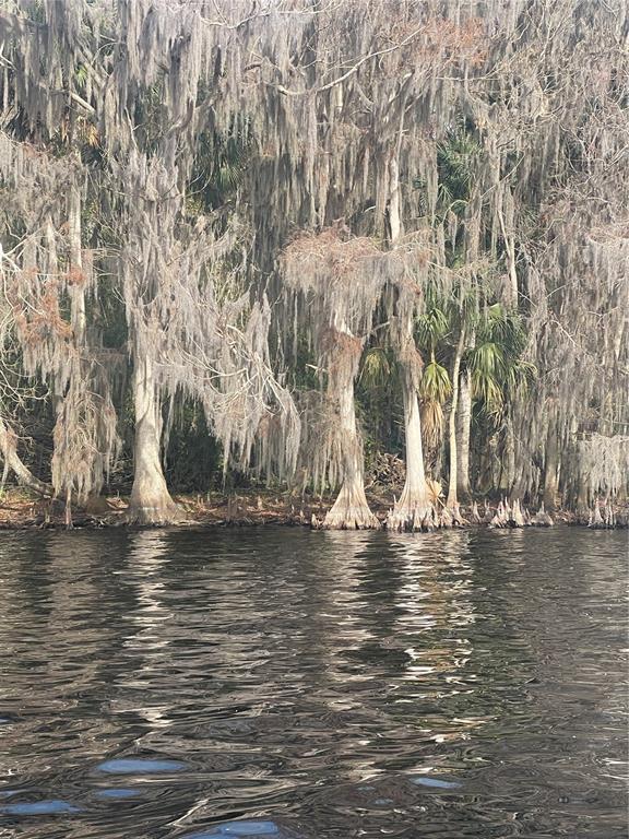 233 STELLA ROAD, GEORGETOWN, FL — photo 3 of 6