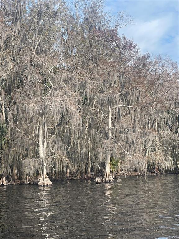233 STELLA ROAD, GEORGETOWN, FL — photo 4 of 6