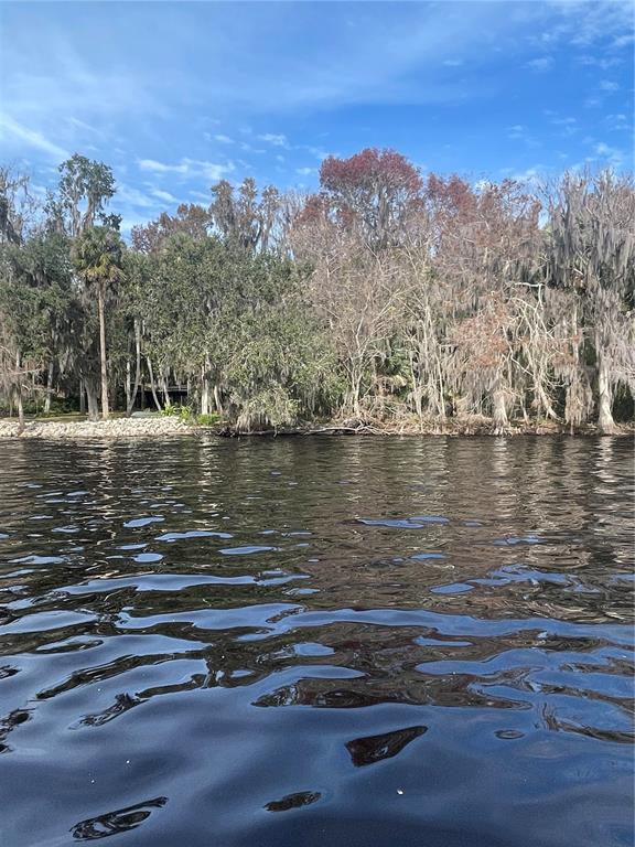 233 STELLA ROAD, GEORGETOWN, FL — photo 5 of 6