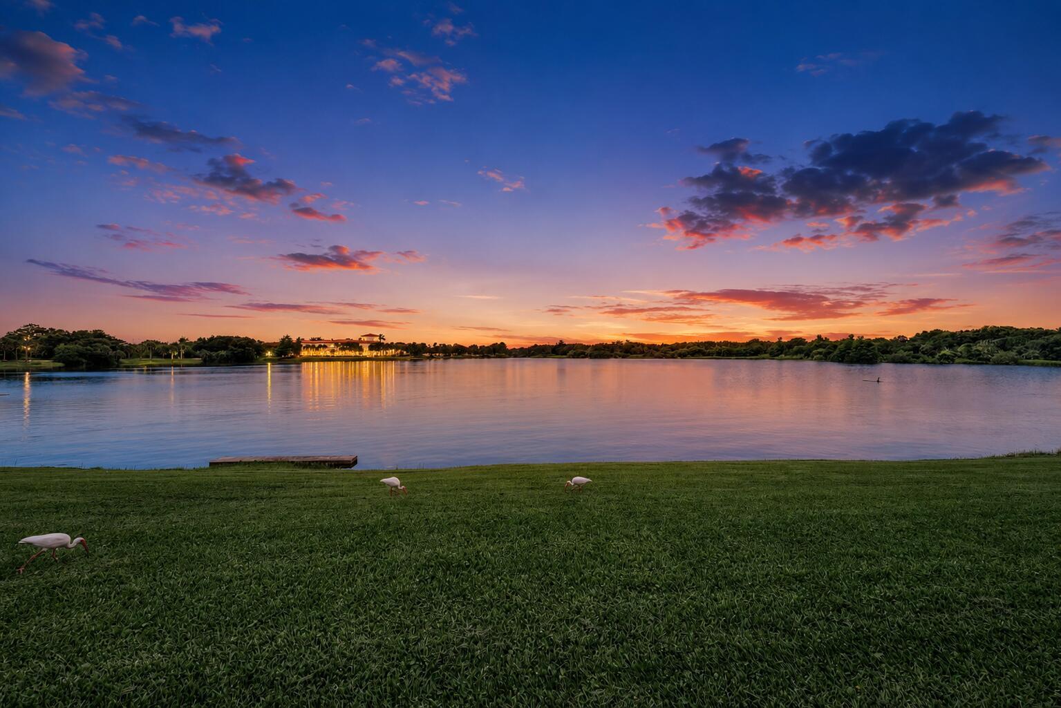 A grassy lawn with three birds overlooks a lake at sunset with a distant building — 1430 NW 48th Lane, Boca Raton FL 33431, BOCA RATON, FL