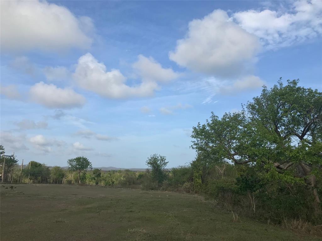 A wide, grassy field stretches toward a line of trees under a blue, cloudy sky — 5 DOCTOR'S PATH, VIEQUES, PR