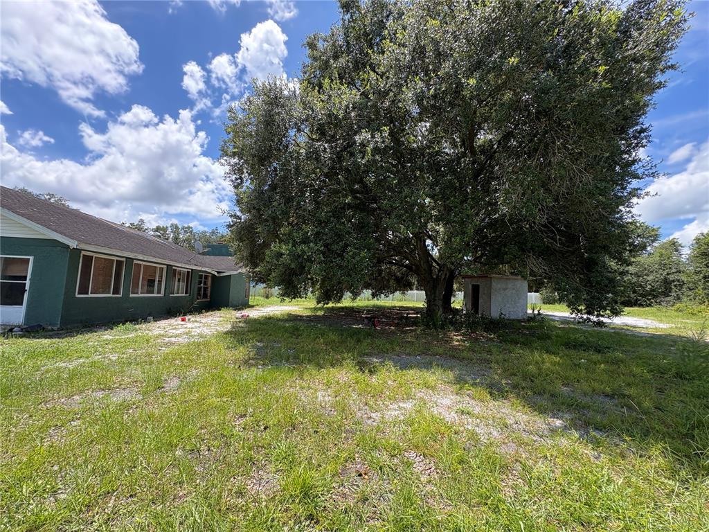 A large tree stands in a grassy yard next to a green house exterior — 4951 JOHN WESLEY PLACE, PLANT CITY, FL