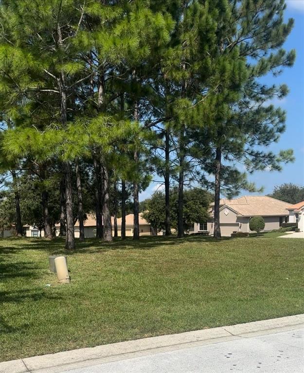 991 W SILVER MEADOW LOOP