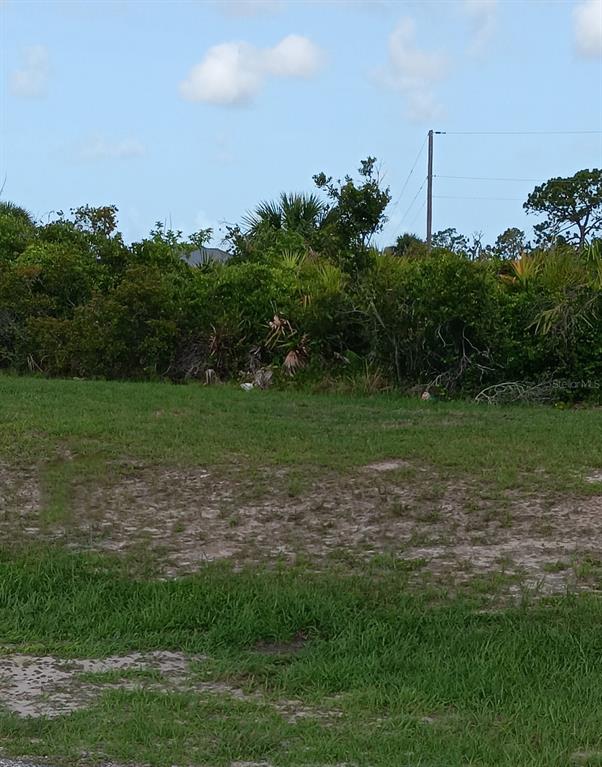 353 BAYTREE DRIVE, ROTONDA WEST, FL — photo 3 of 3