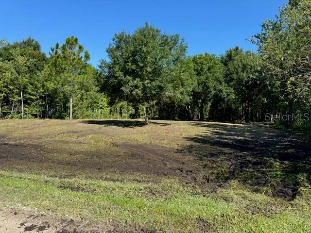 A cleared, grassy lot with scattered trees under a clear blue sky — 0 CHISHOLM TRAIL, POLK CITY, FL