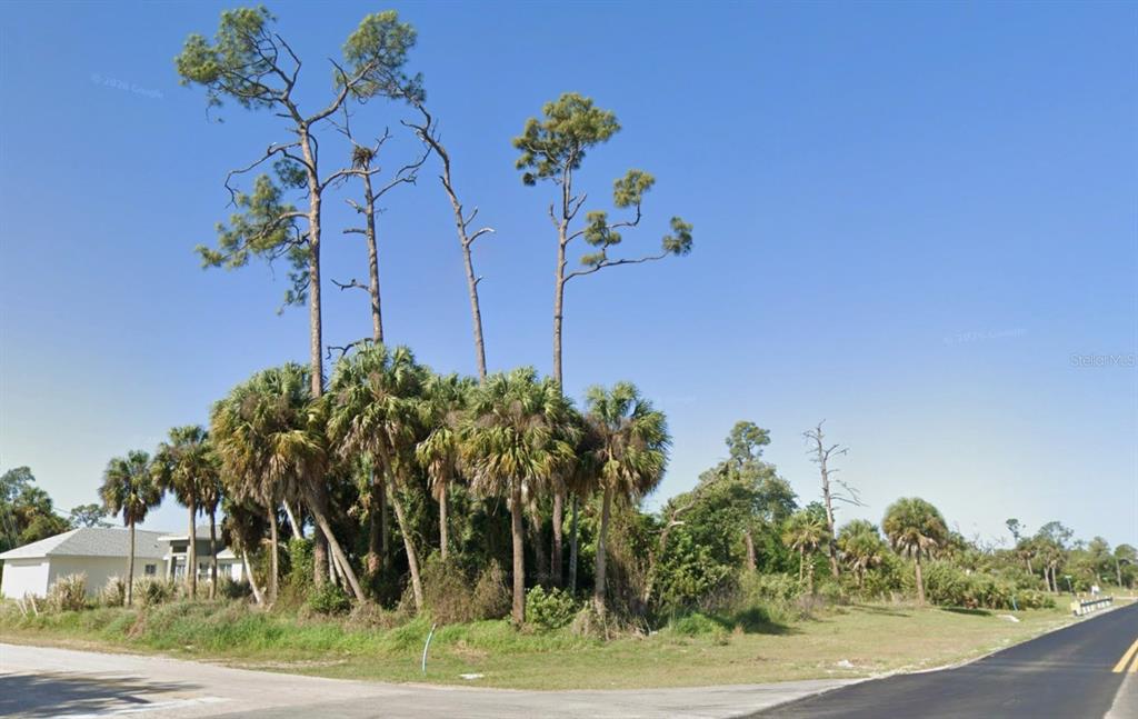 A grassy corner lot features a cluster of tall pine trees and palm trees — 11 WARRINGTON BOULEVARD, PORT CHARLOTTE, FL