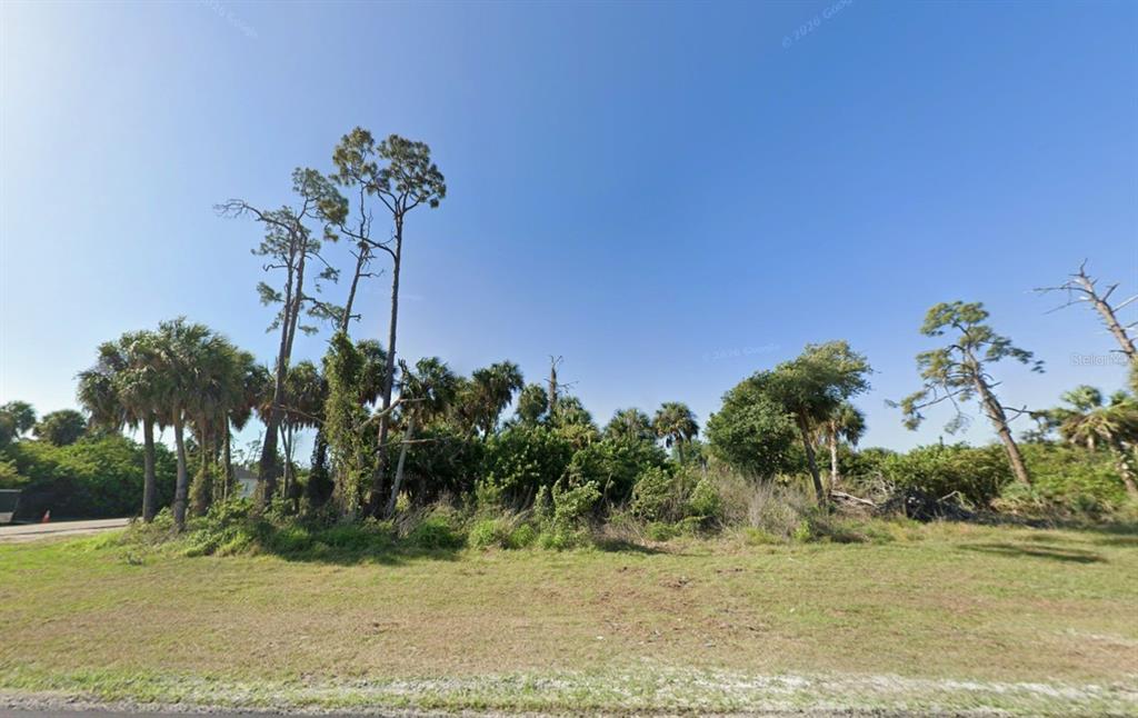 A grassy, undeveloped lot features a dense cluster of palm and pine trees — 11 WARRINGTON BOULEVARD, PORT CHARLOTTE, FL