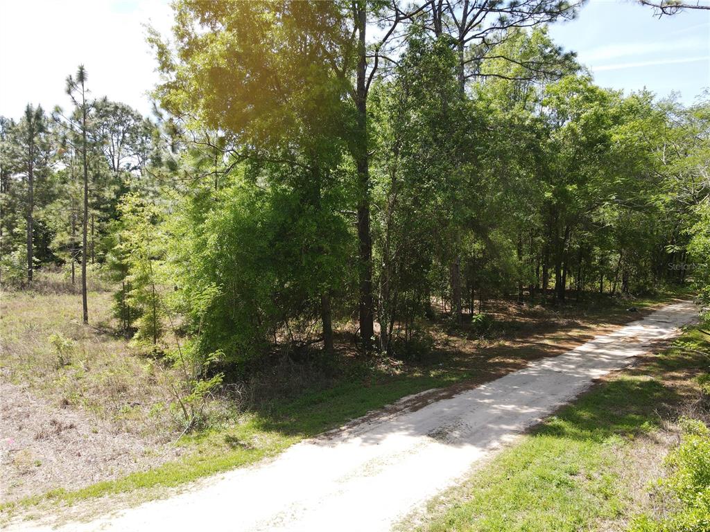 SW 29 LANE, OCALA, FL — photo 2 of 11
