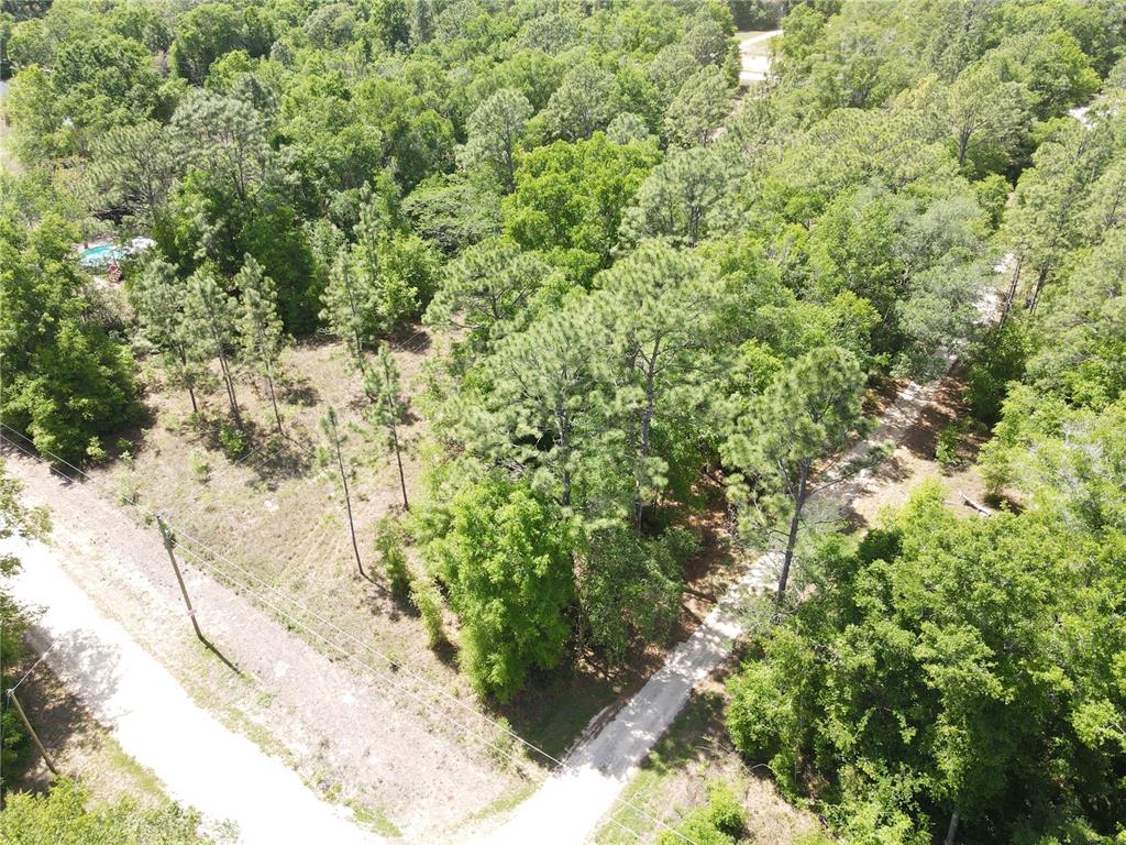 SW 29 LANE, OCALA, FL — photo 3 of 11