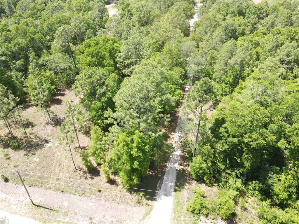 SW 29 LANE, OCALA, FL — photo 4 of 11
