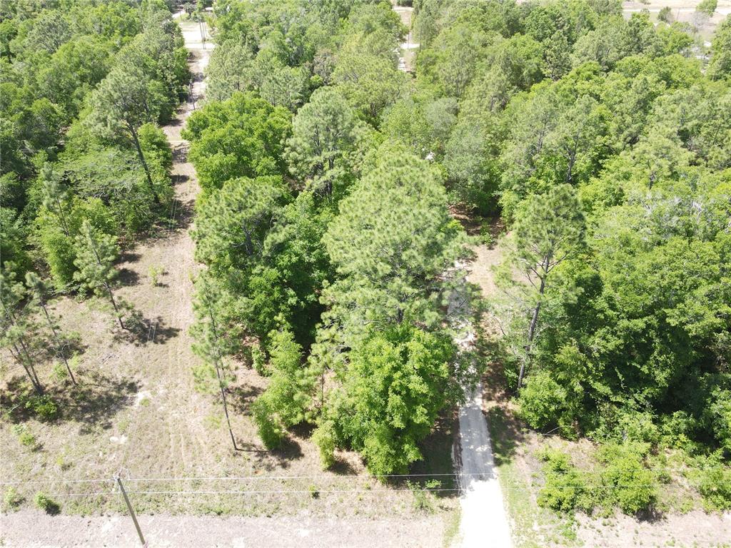SW 29 LANE, OCALA, FL — photo 5 of 11