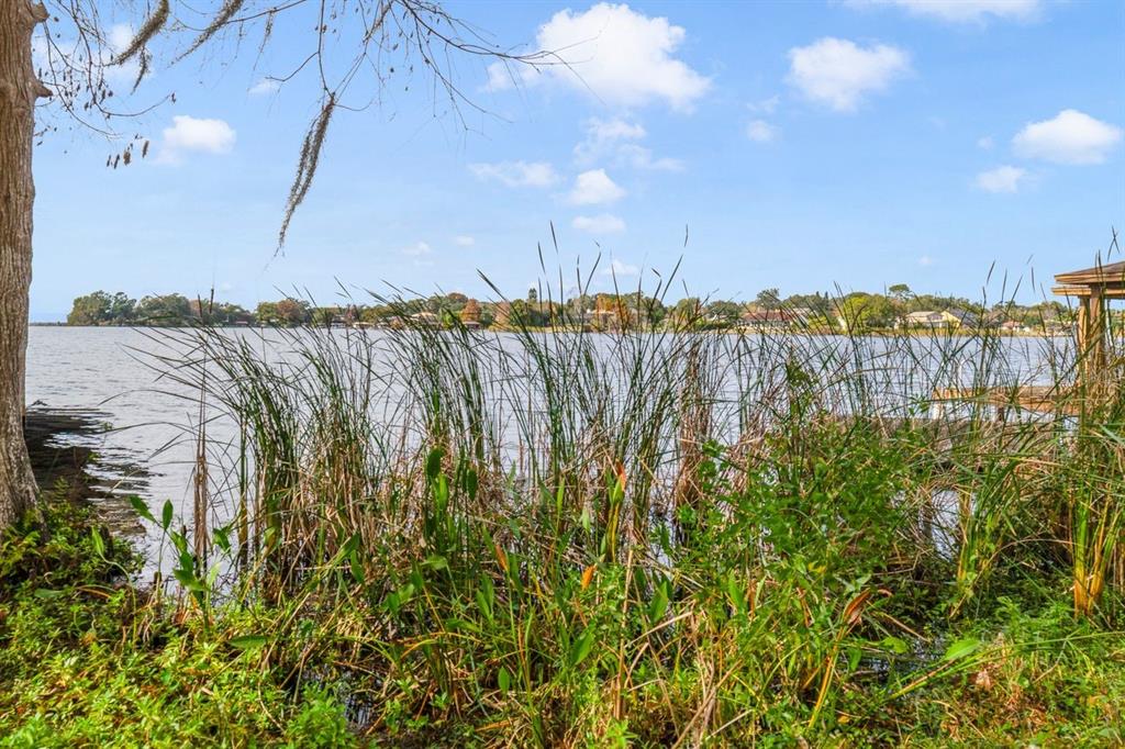 A view of a lake from a grassy shoreline with tall reeds and a tree — 3658 N ECONLOCKHATCHEE TRAIL, ORLANDO, FL