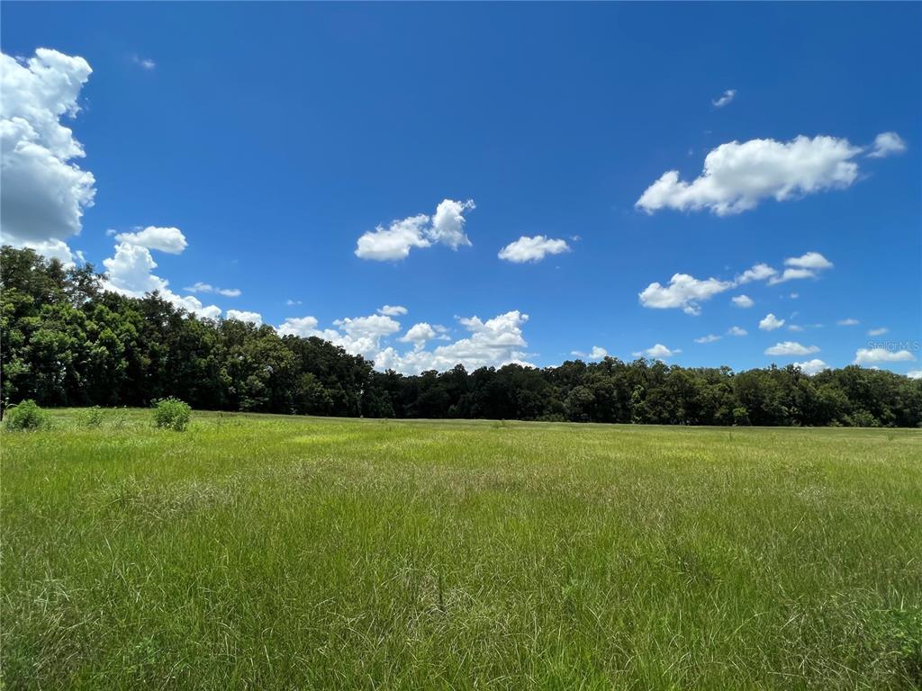 5500 SE 24TH STREET, OCALA, FL — photo 4 of 13