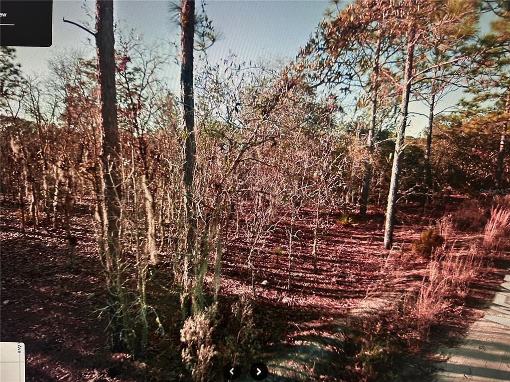 TBD NE 97TH COURT, BRONSON, FL — photo 2 of 4