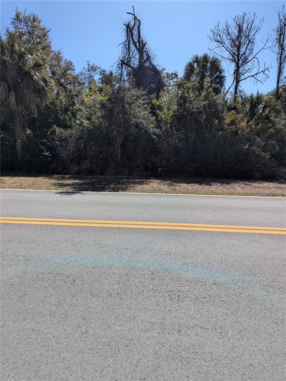 A paved road with double yellow lines runs in front of a wooded lot — Lots 1,2&3 DE LEON DRIVE, NORTH PORT, FL