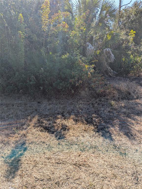A view of a grassy lot bordered by dense trees and palm foliage — Lots 1,2&3 DE LEON DRIVE, NORTH PORT, FL