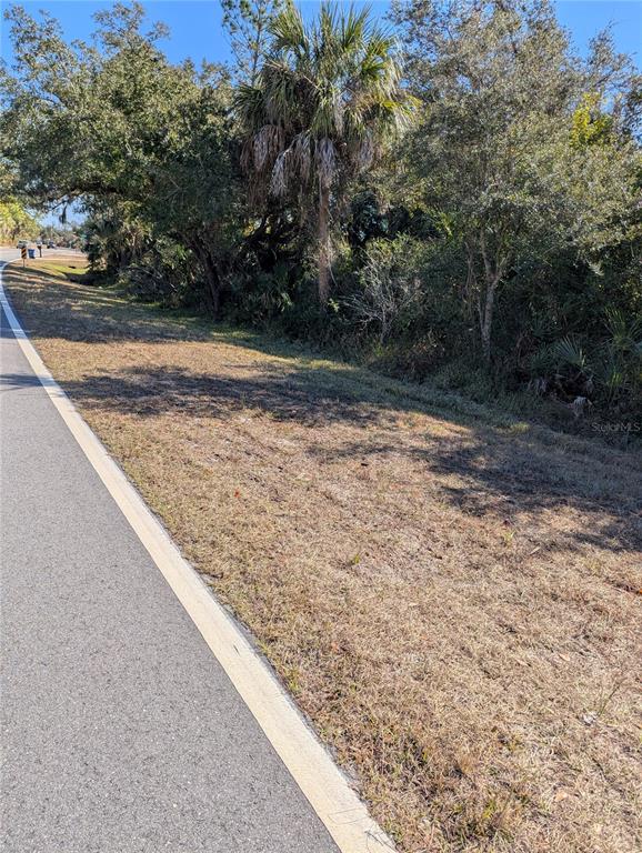 A paved road runs alongside a grassy shoulder bordered by trees and a palm tree — Lots 1,2&3 DE LEON DRIVE, NORTH PORT, FL