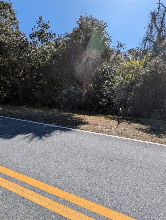 A paved road with double yellow lines runs alongside a wooded lot with dense vegetation — Lots 1,2&3 DE LEON DRIVE, NORTH PORT, FL
