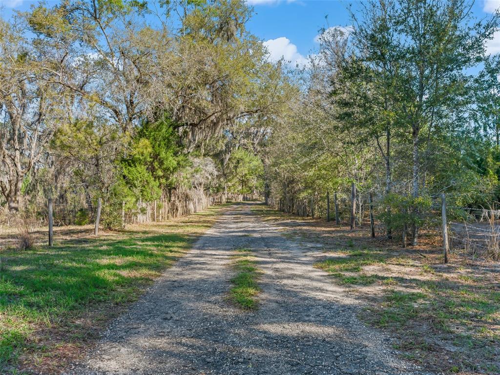 6350 NE 86TH AVENUE, BRONSON, FL — photo 4 of 30