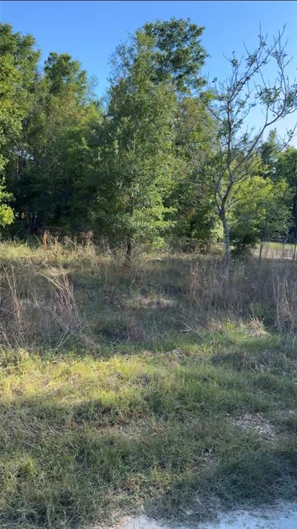 A view of a grassy, undeveloped lot with scattered trees and dense vegetation — 2405 WILSON ST STREET, INVERNESS, FL
