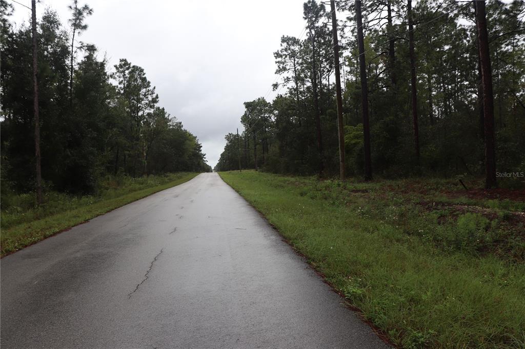 A paved road stretches into the distance between dense pine forests under a cloudy sky — 00 NW BEUNA VISTA ROAD, DUNNELLON,, FL