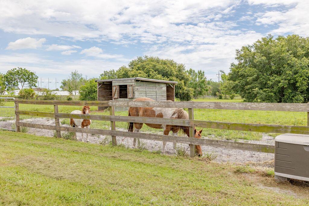 Two horses graze in a fenced pasture near a small wooden shed under a cloudy sky — 11301 SW Fox Brown Road, FL 34956, FL