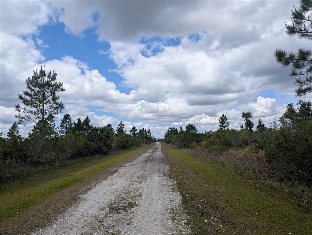 A dirt road stretches through a rural landscape with trees and bushes under a cloudy sky — ALTHEA DRIVE, INDIAN LAKE ESTATES, FL