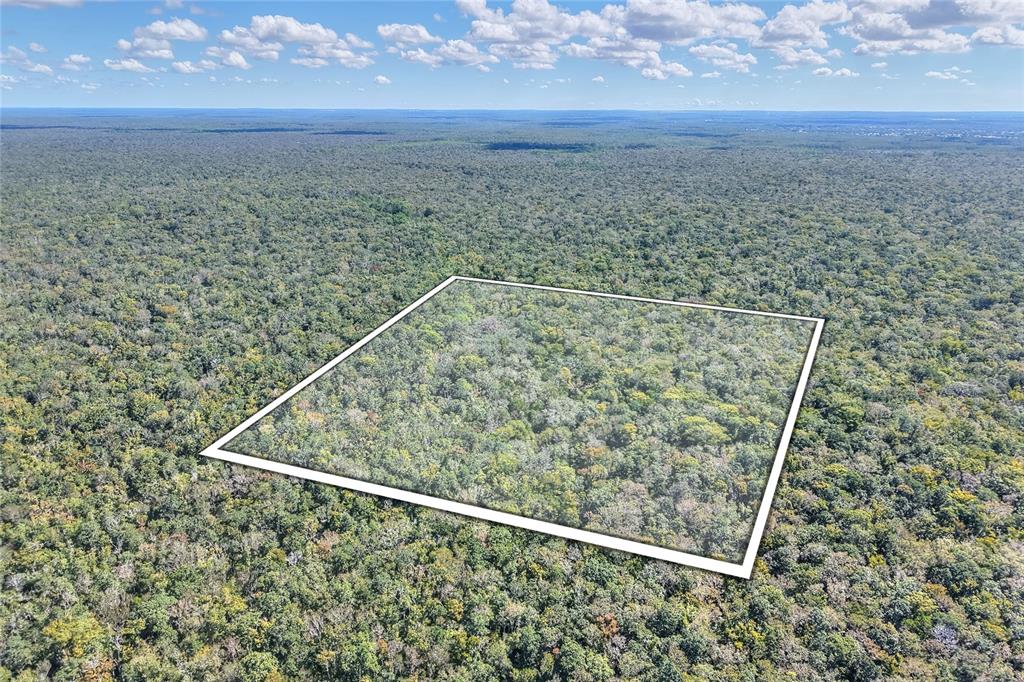 An aerial view shows a rectangular plot of land outlined in white amidst dense forest — PINE ISLAND DRIVE, WEEKI WACHEE, FL