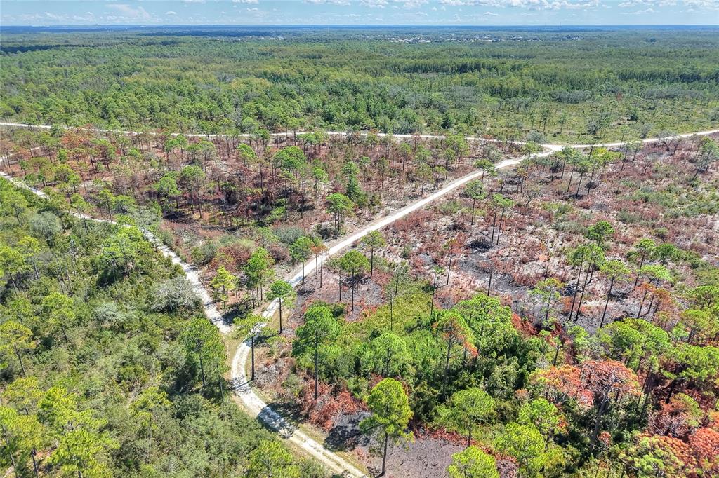 An aerial view shows a dirt road winding through a sparse, partially burned pine forest — PINE ISLAND DRIVE, WEEKI WACHEE, FL
