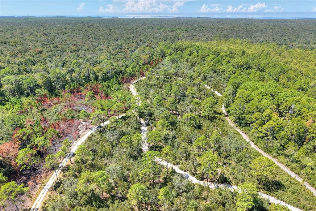 An aerial view shows a dirt road winding through a dense, wooded forest landscape — PINE ISLAND DRIVE, WEEKI WACHEE, FL