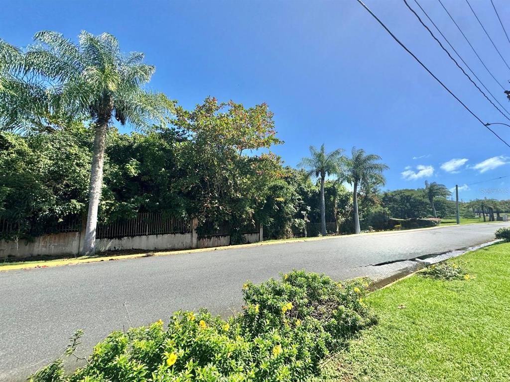 A paved road runs alongside a grassy area with palm trees and a metal fence — Lot 59 URB. LAS GAVIOTAS, FAJARDO, PR