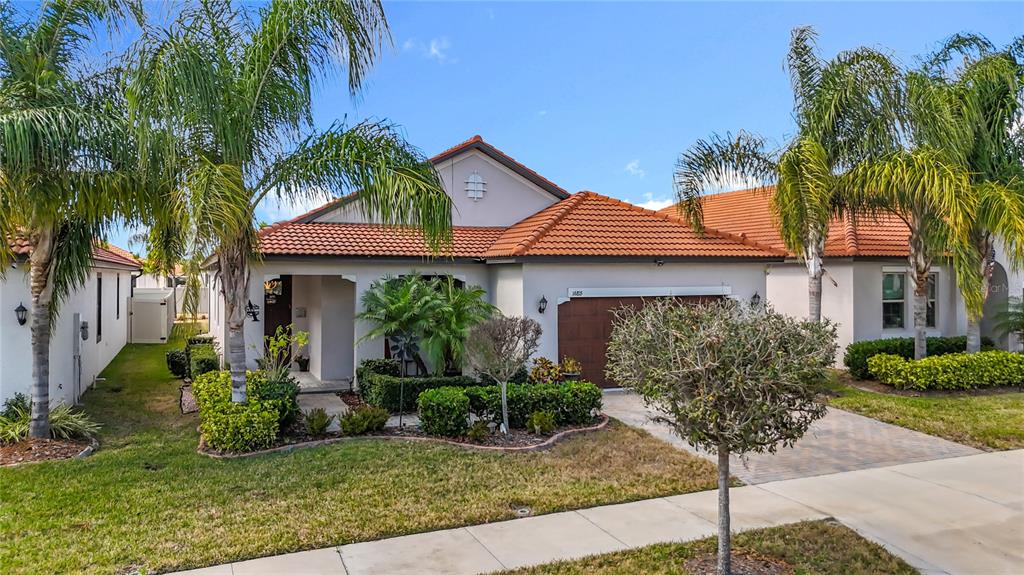 A single-story house with a tiled roof, palm trees, and a paved driveway — 16815 WHISPER ELM STREET, WIMAUMA, FL