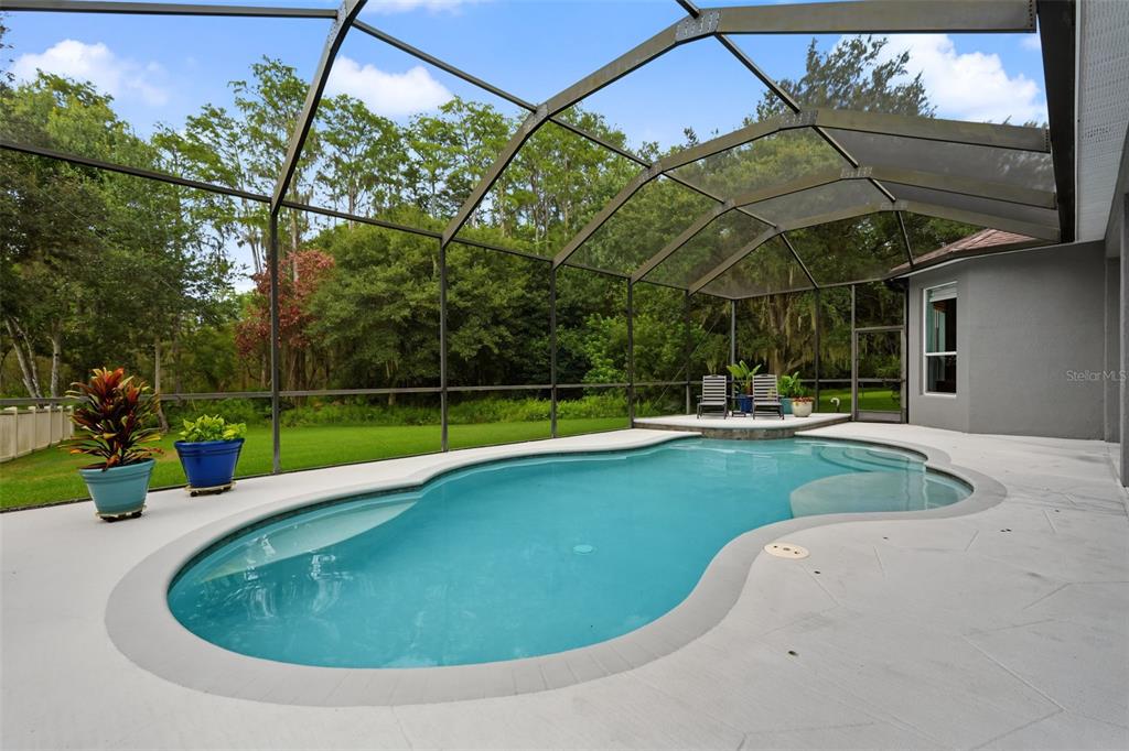 7504 WHISPERING WIND DRIVE, LAND O LAKES, FL — photo 2 of 30