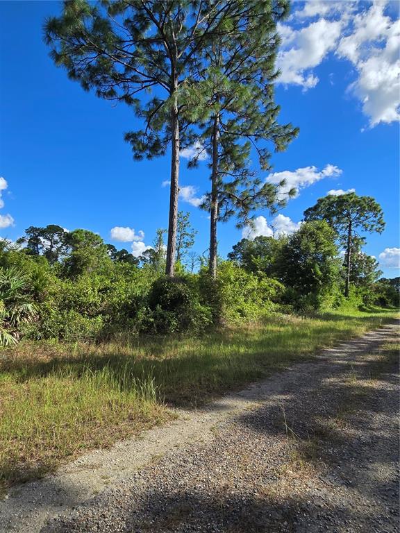 A dirt path runs alongside a dense area of trees and shrubs under a blue sky — 421 WILDER AVENUE S, LEHIGH ACRES, FL
