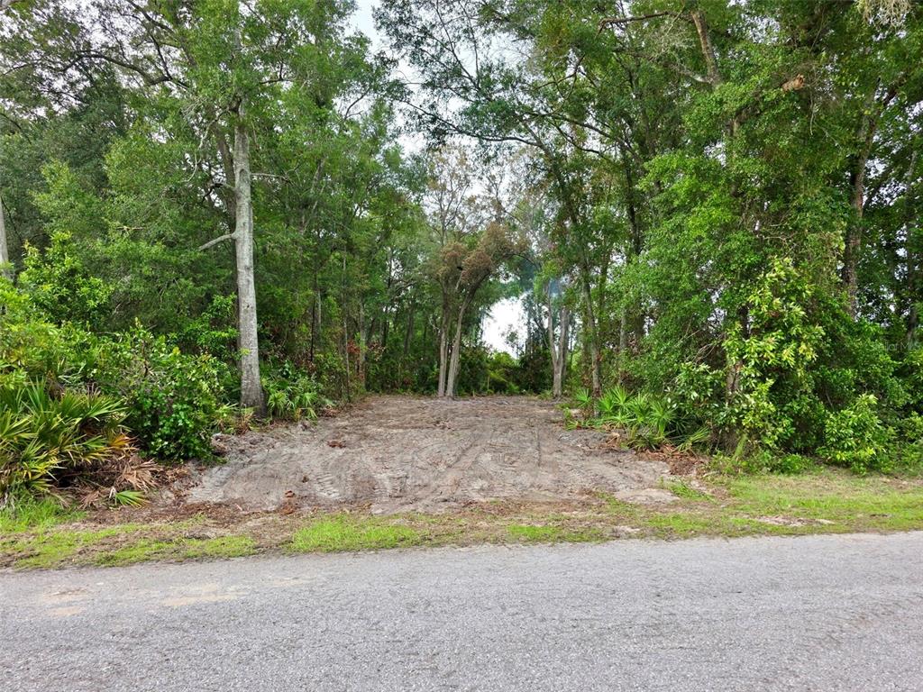 A cleared dirt lot sits between dense trees along a paved road — Lot 112 NW 70TH AVENUE, TRENTON, FL