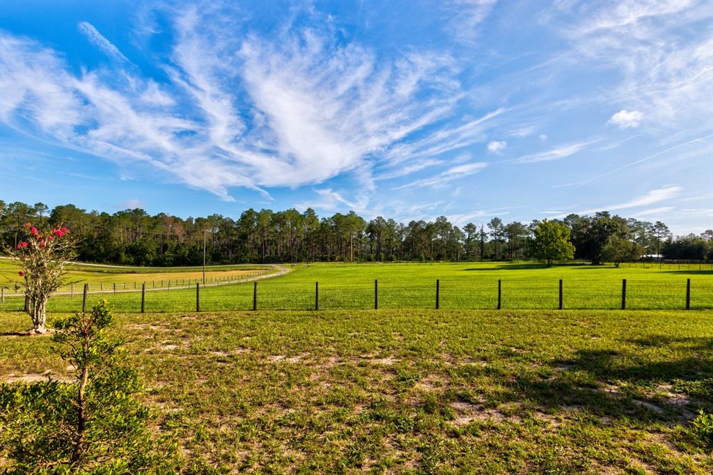 A grassy field with a wire fence and a line of trees under a sky — 24948 WALKABOUT RANCH ROAD, SORRENTO, FL