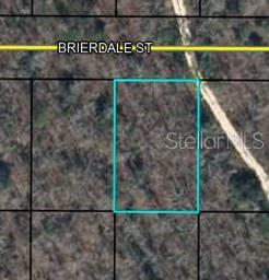 Lot 6 BRIERDALE STREET