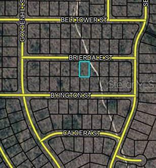 This is a map showing a highlighted vacant lot located between Brierdale Street and Byington Street — Lot 6 BRIERDALE STREET, CHIPLEY, FL