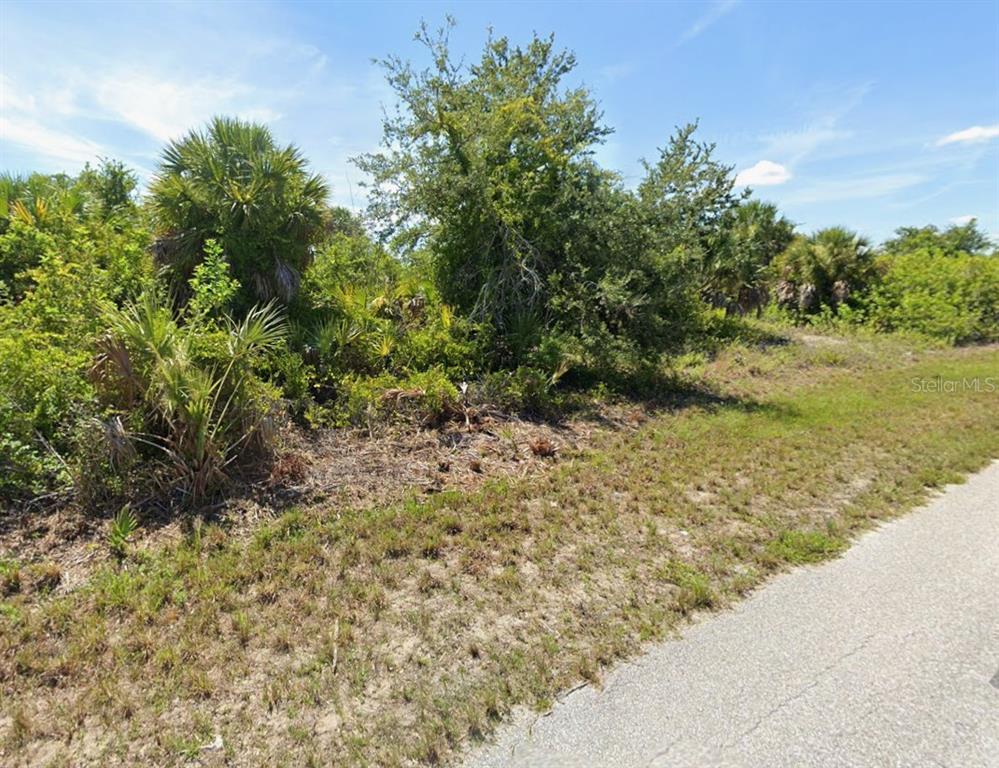 A view of a vacant, overgrown lot with dense vegetation and trees next to a road — 14238 FORT WORTH CIRCLE, PORT CHARLOTTE, FL