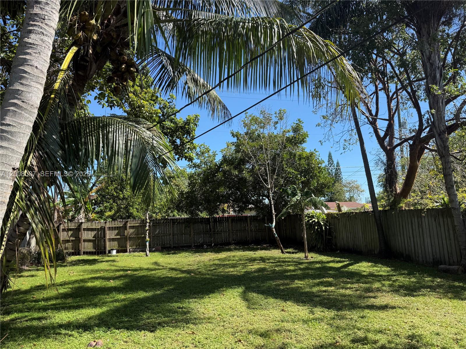 A grassy backyard features a wooden fence, several trees, and palm fronds overhead — 2323 Cleveland St, Hollywood FL 33020, HOLLYWOOD, FL