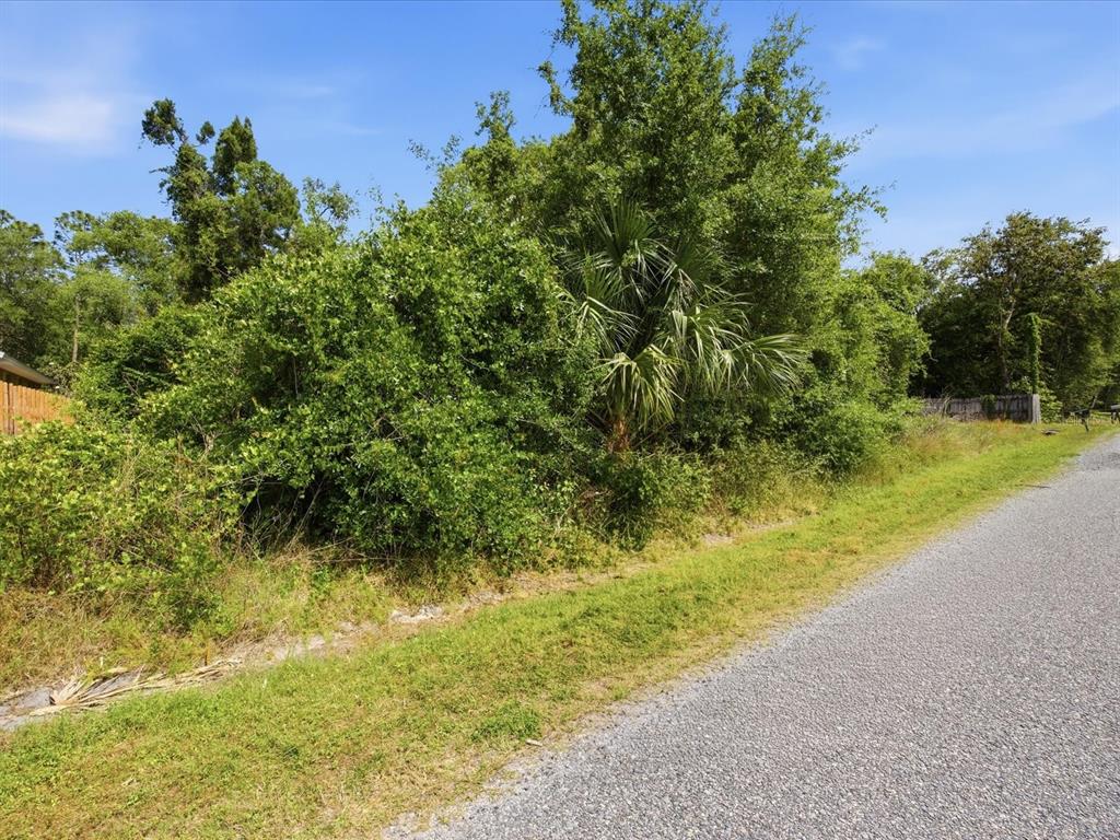A gravel road runs alongside a dense, overgrown lot with trees and a palm tree — 2155 5TH AVENUE, DELAND, FL