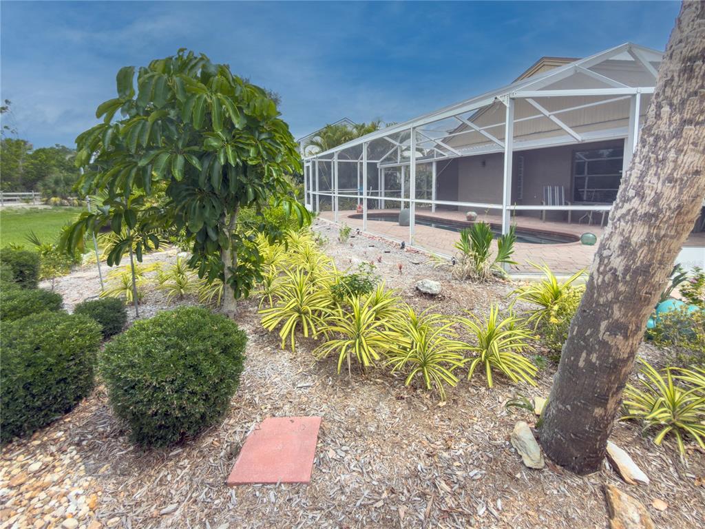 A backyard features a screened-in swimming pool, tropical landscaping, and a mulch-covered garden bed — 2408 89TH STREET NW, BRADENTON, FL