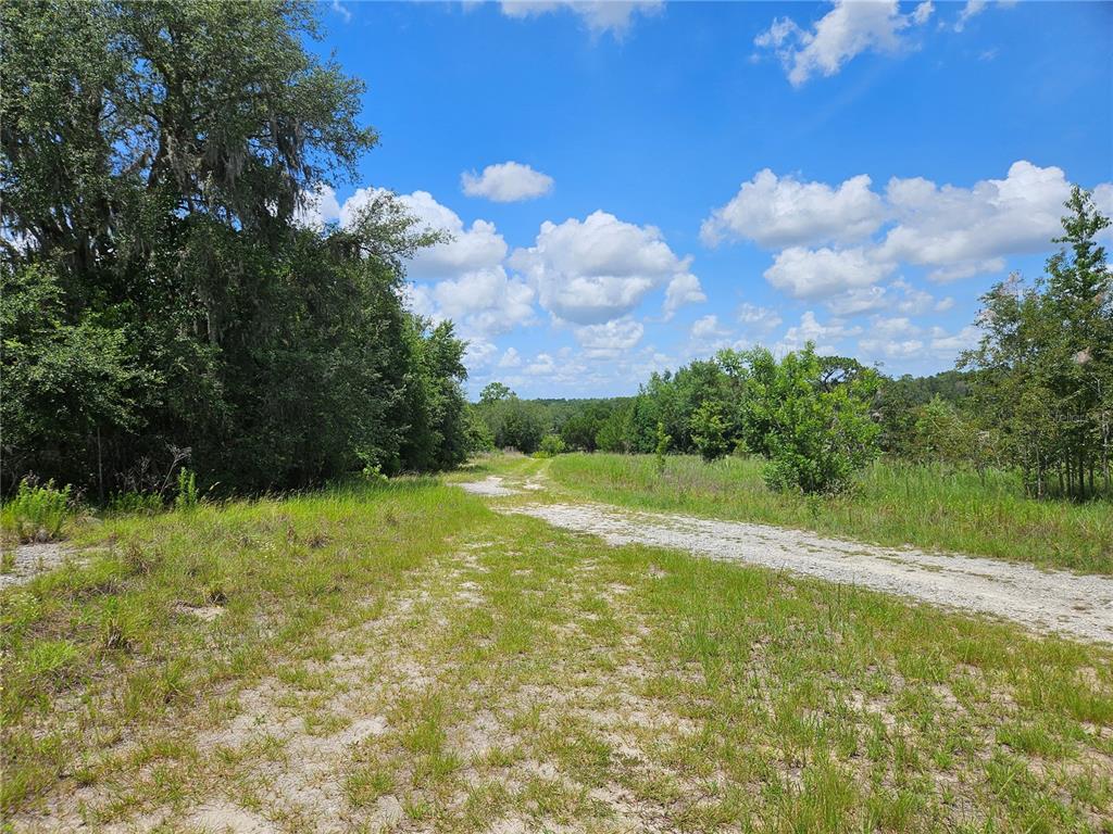A gravel path leads through a grassy field bordered by trees under a cloudy sky — 3814 W RANCETTA STREET, DUNNELLON, FL
