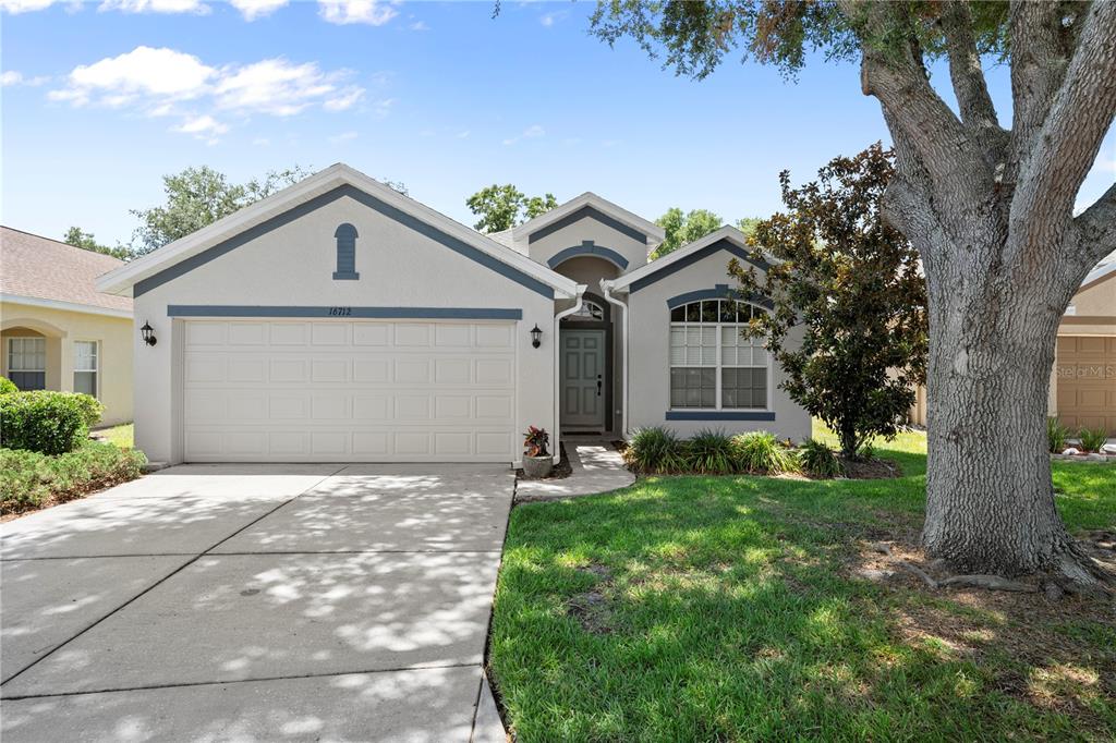 16712 CARACARA COURT