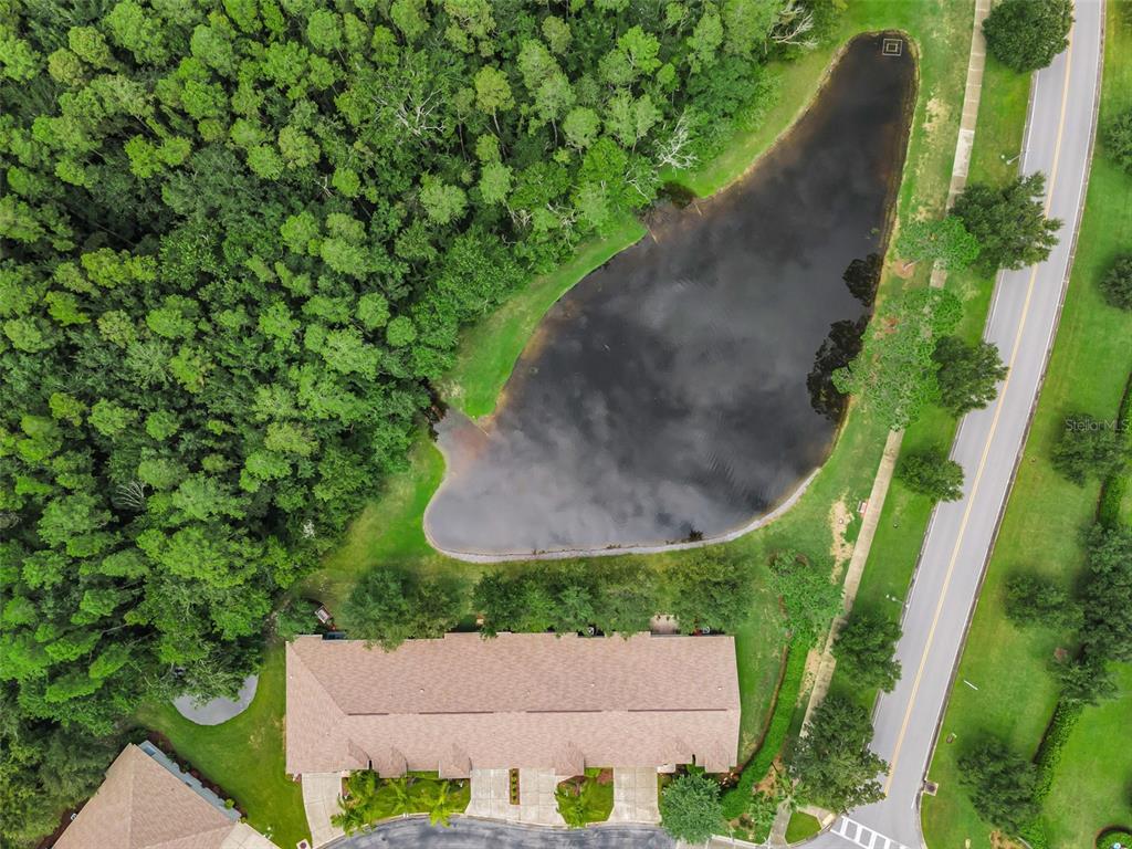 An aerial view shows a multi-unit building next to a pond and a wooded area — 1553 ARLINGTON OAKS COURT, NEW PORT RICHEY, FL